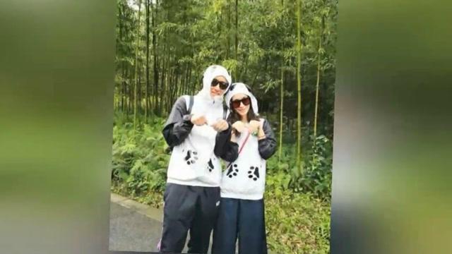 如何将PDF转换成TXT格式?介绍三个详细的操作方式